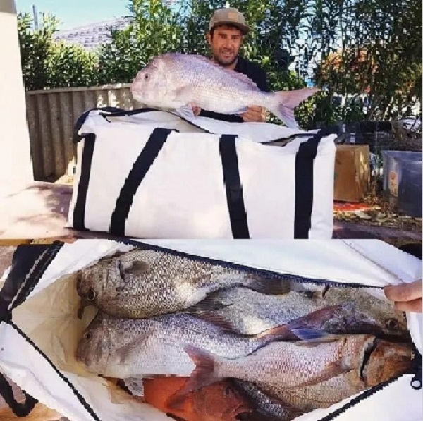 Beledigde Fish koeltas Beledigde Fish koeltas